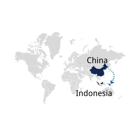 Freight Shipping from China to Indonesia