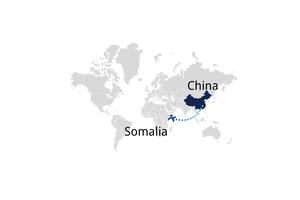 Freight Shipping From China To Somalia